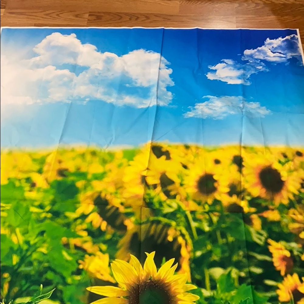 Sunflower Background